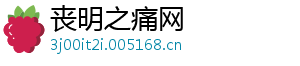丧明之痛网